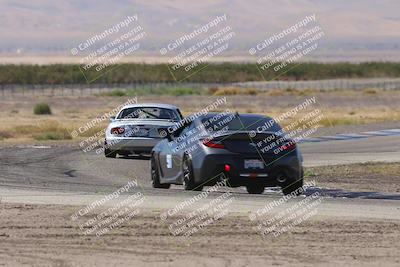 media/Oct-04-2025-OnGrid (Sat) [[44bd565ffa]]/Yellow Group/Grapevine/